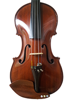 Violina 1 Trbuh